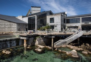 Aquarium de la baie de Monterey 