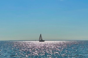 L été sur l eau :5 voyages nautiques sur la baie de Chesapeake 