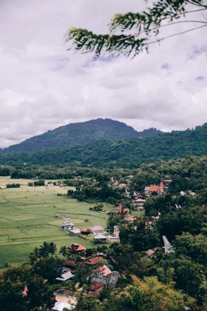Photo de la communauté des toits rouges dispersés dans la jungle 