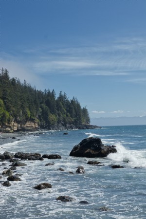 Paysage d une photo de la côte de l océan bordée d arbres 