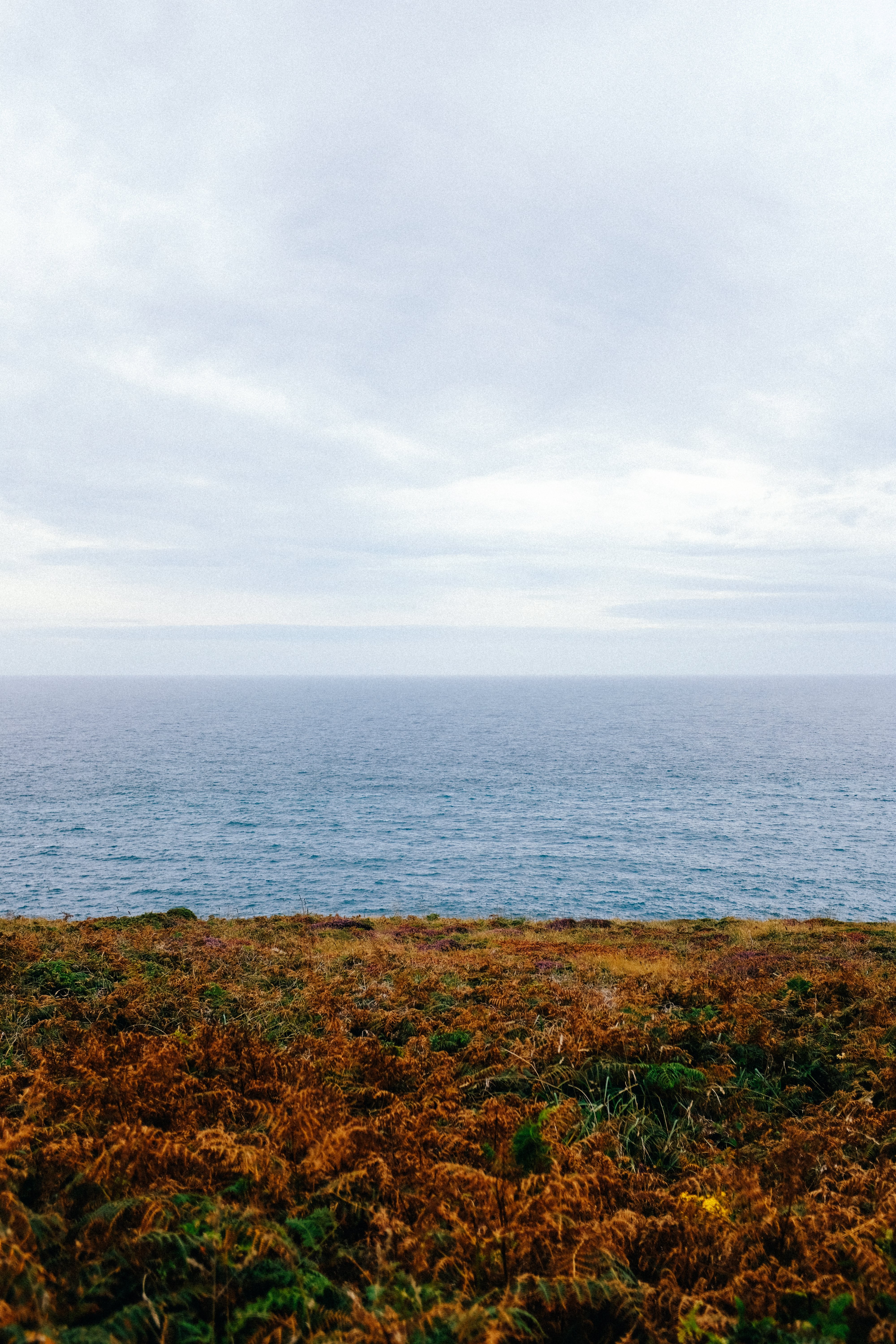 Paysage de l océan à partir de la photo de la rive verte et brune 