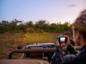 Safari epici in Sudafrica:cosa sapere prima di partire 
