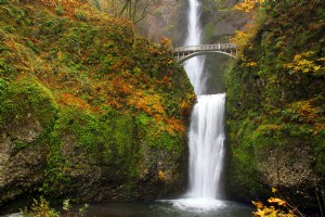 Tempat Terbaik untuk Melihat Dedaunan Musim Gugur di Pacific Northwest 