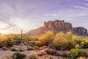 Spring Training no Arizona:Squeeze Plays, Drives profundos e sucessos de embreagem 