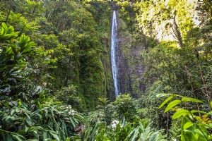8 des cascades les plus époustouflantes à voir à Hawaï 
