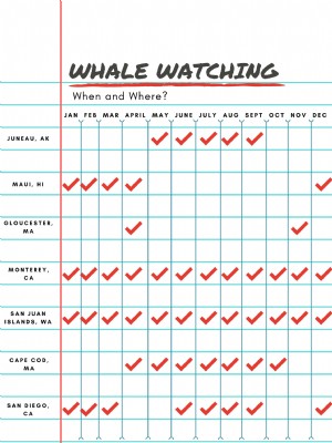 Onde e quando da observação de baleias - não é necessário passaporte 