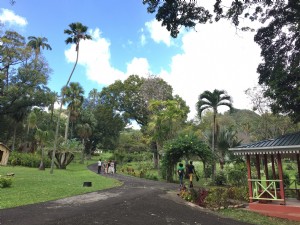 5 motivi per visitare St. Vincent e Grenadine 