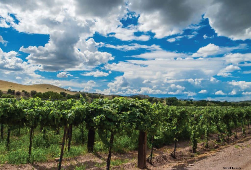 ニューメキシコのワイン産地でエンチャントを見つける 