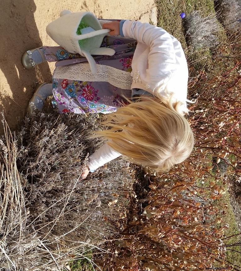 Férias de primavera em Santa Fe:as crianças brincam de graça! 