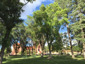 Ottimi posti per un picnic urbano a Santa Fe 