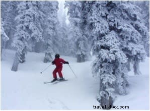 Retrato del día perfecto para esquiar 