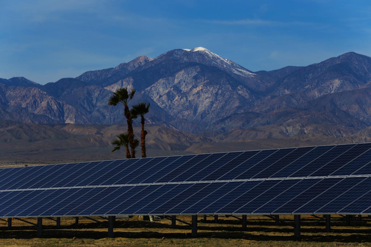 5 formas de ser un visitante más sostenible en Greater Palm Springs 