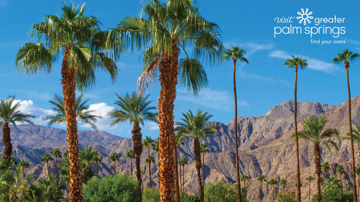 ¡Fondos de Zoom de Greater Palm Springs para su próxima reunión virtual! 