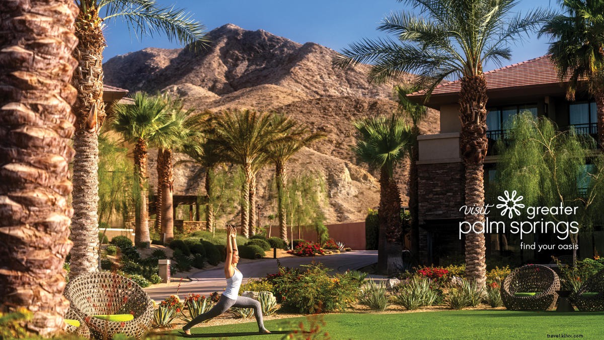 Sfondi Zoom di Palm Springs per il tuo prossimo incontro virtuale! 