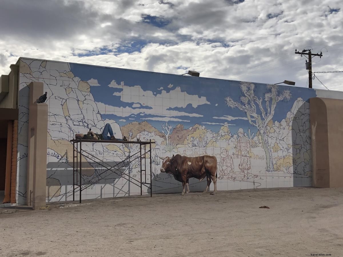 Inspiração para viagens de um dia:explore Joshua Tree e o alto deserto 