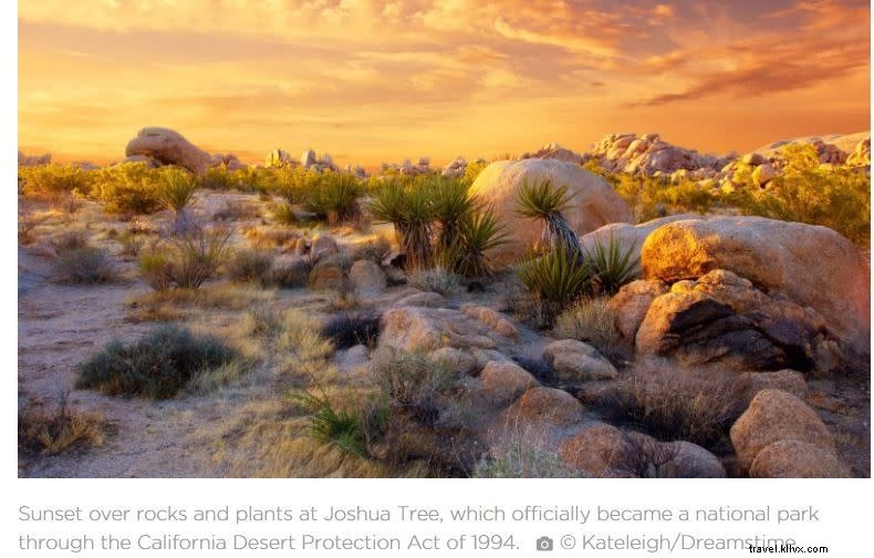 Felicidades aos 25 anos:um quarto de século de preservação do deserto ajudou o turismo a prosperar 