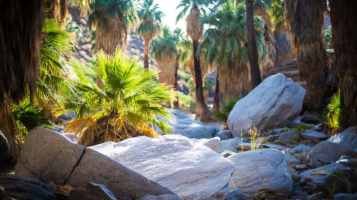 Comment se déconnecter lors de vos prochaines vacances à Grand Palm Springs 