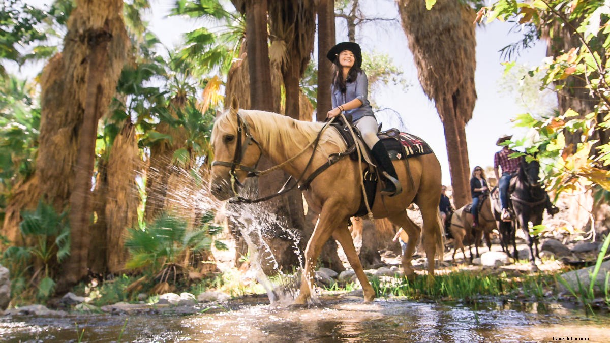 8 avventure all aperto più fotogeniche a Greater Palm Springs 