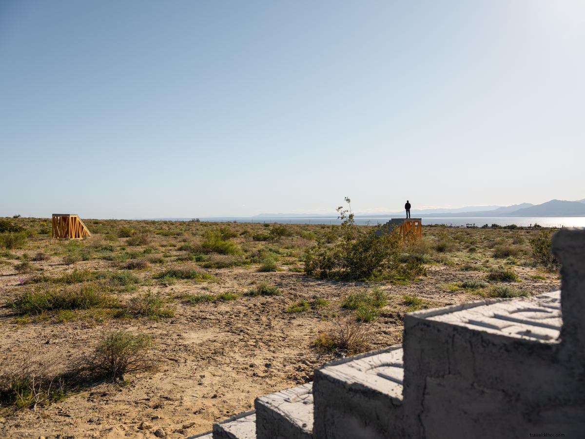 砂漠Xの見方：外出先での文化愛好家のための10のハイライト 