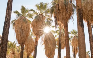 5 façons de profiter du plein air à Greater Palm Springs 