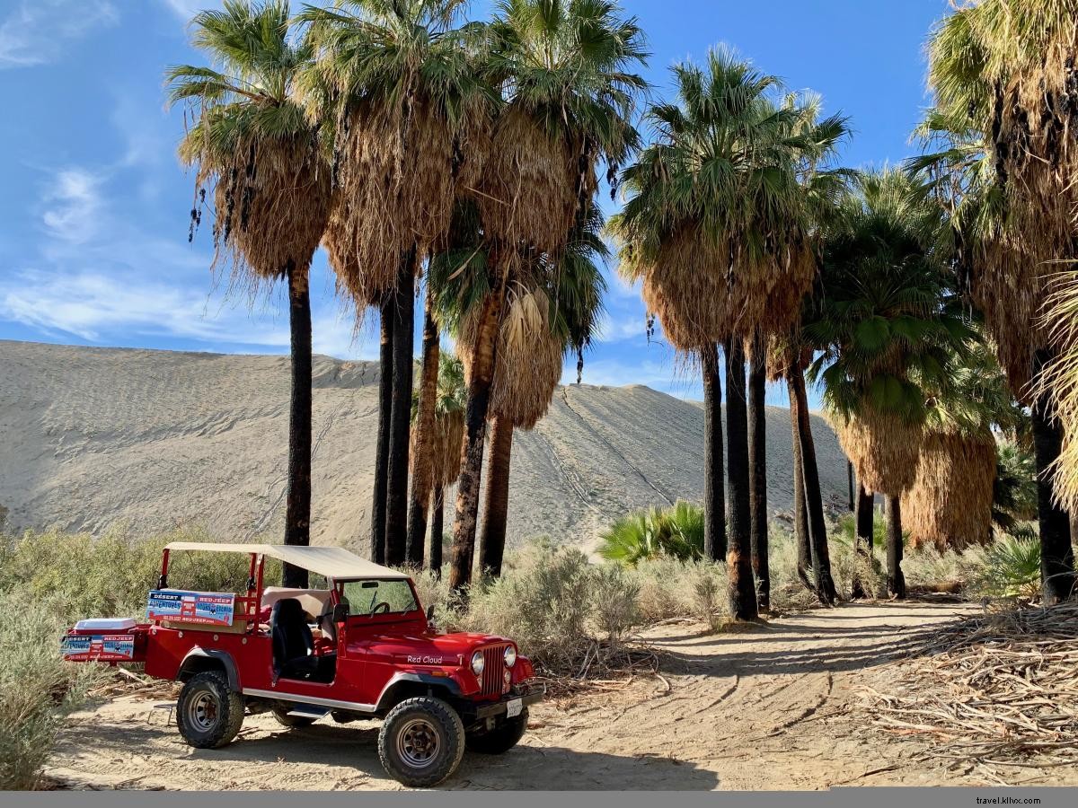 5 formas de disfrutar del aire libre en Greater Palm Springs 