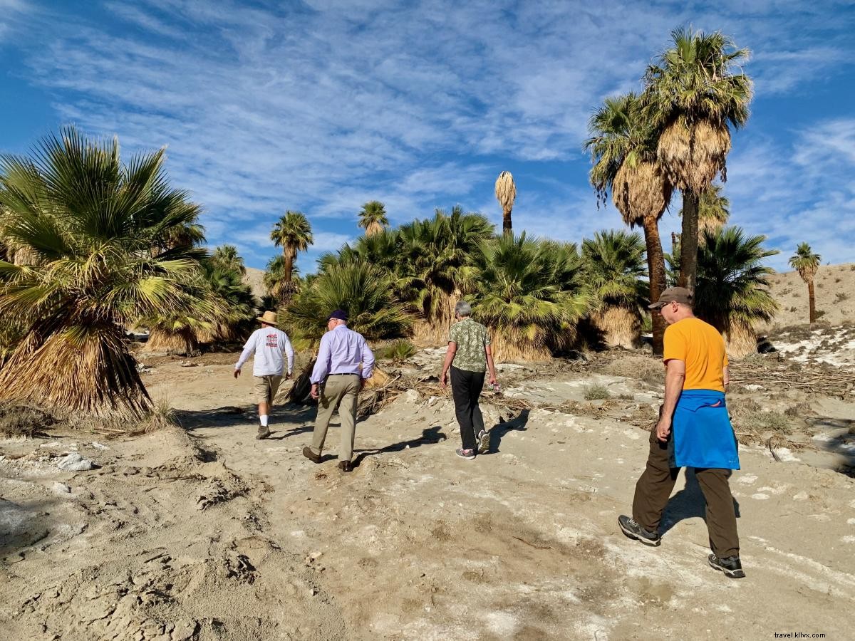 5 Cara Menikmati Alam Terbuka di Greater Palm Springs 