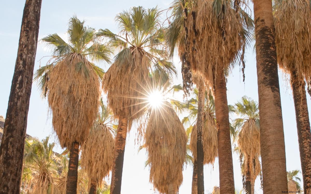 10 sentiers dans le Grand Palm Springs qui vous mettront en forme 