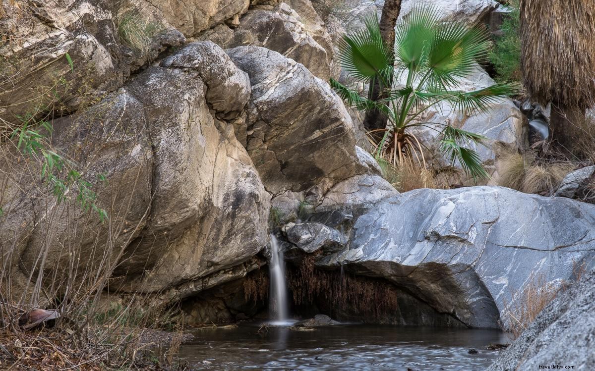 9 escursioni panoramiche e semplici a Greater Palm Springs 