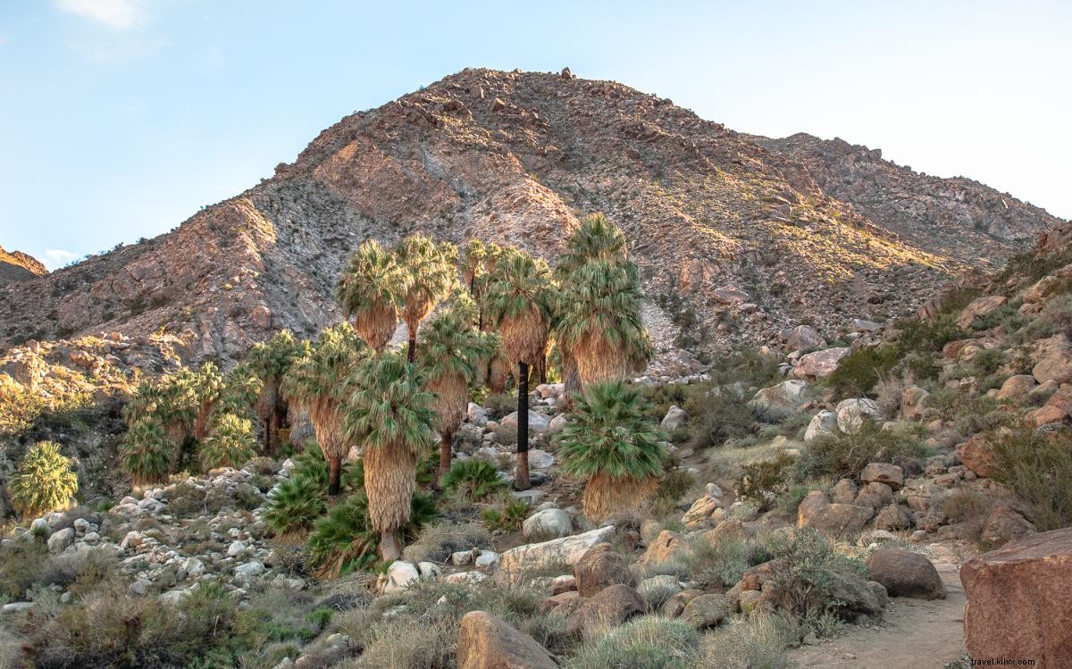 9 caminhadas panorâmicas e simples em Greater Palm Springs 