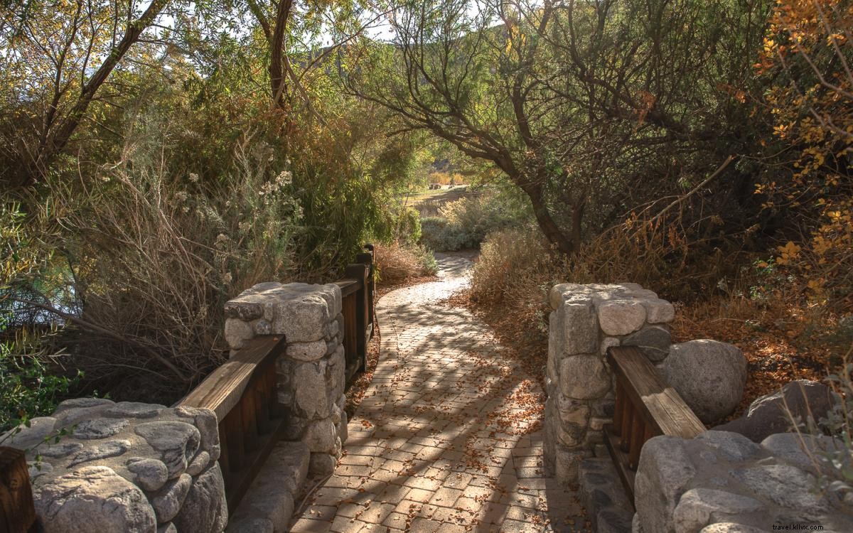9 randonnées pittoresques et simples dans le Grand Palm Springs 