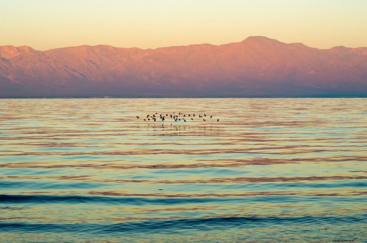 Gita di un giorno al Salton Sea 