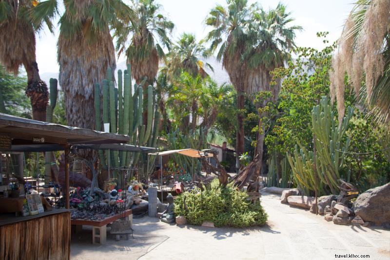 La guida per gli amanti delle piante a Greater Palm Springs 