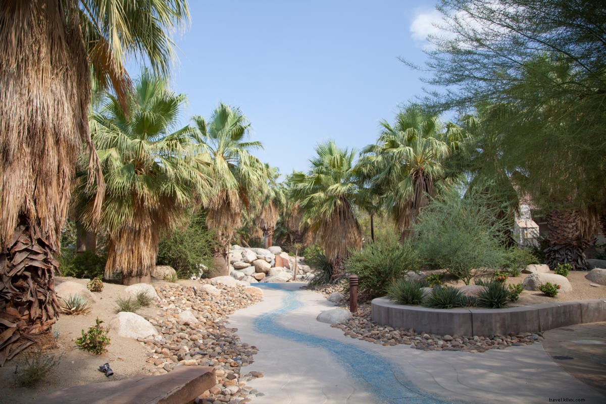 Le guide des amoureux des plantes à Greater Palm Springs 