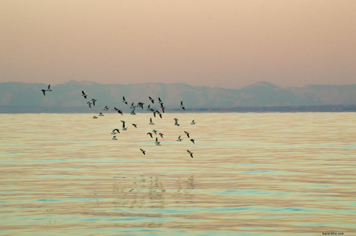 Guida per il primo timer per visitare il Salton Sea 