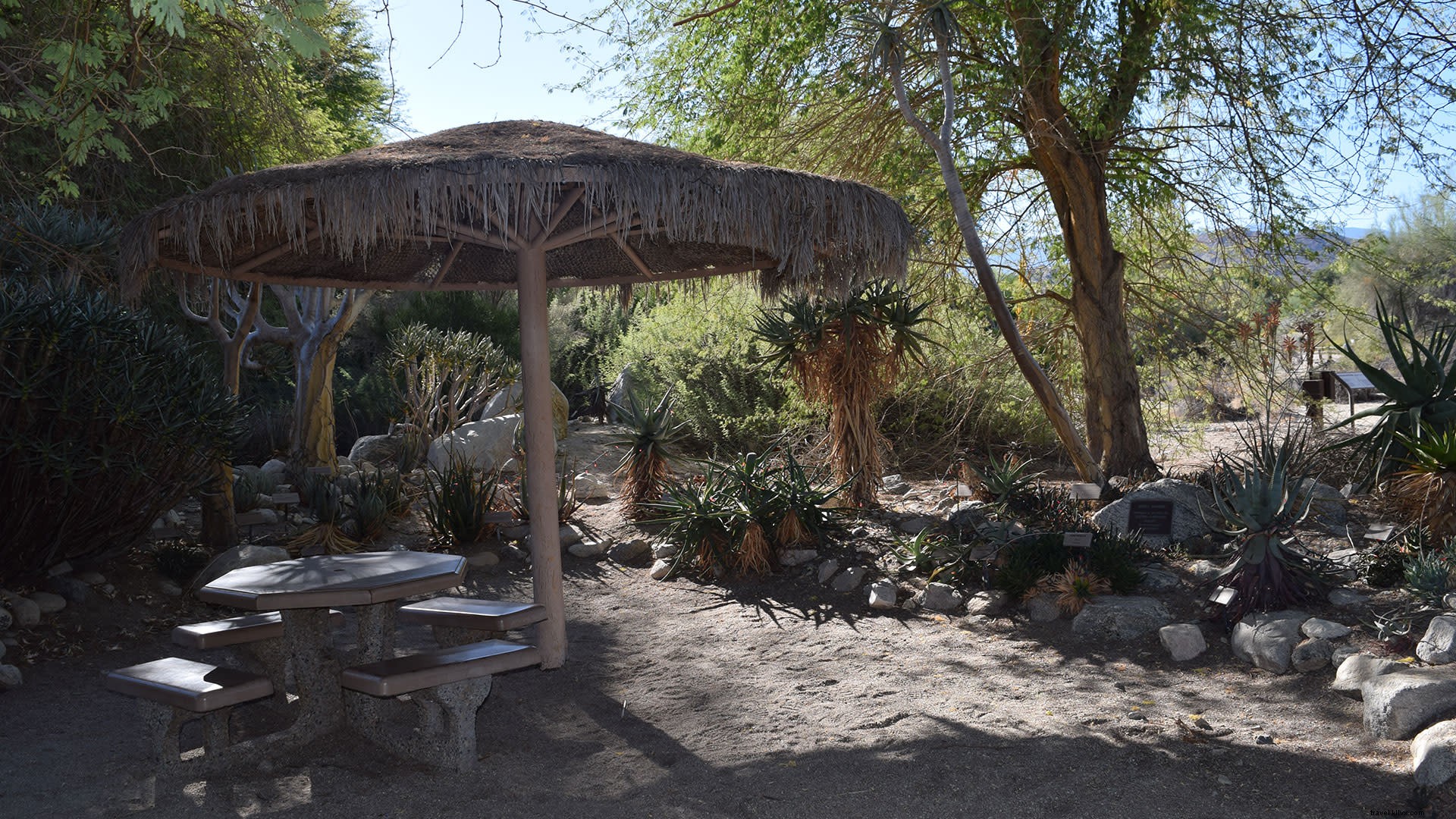 Ótimos lugares para fazer um piquenique e explorar em Greater Palm Springs 