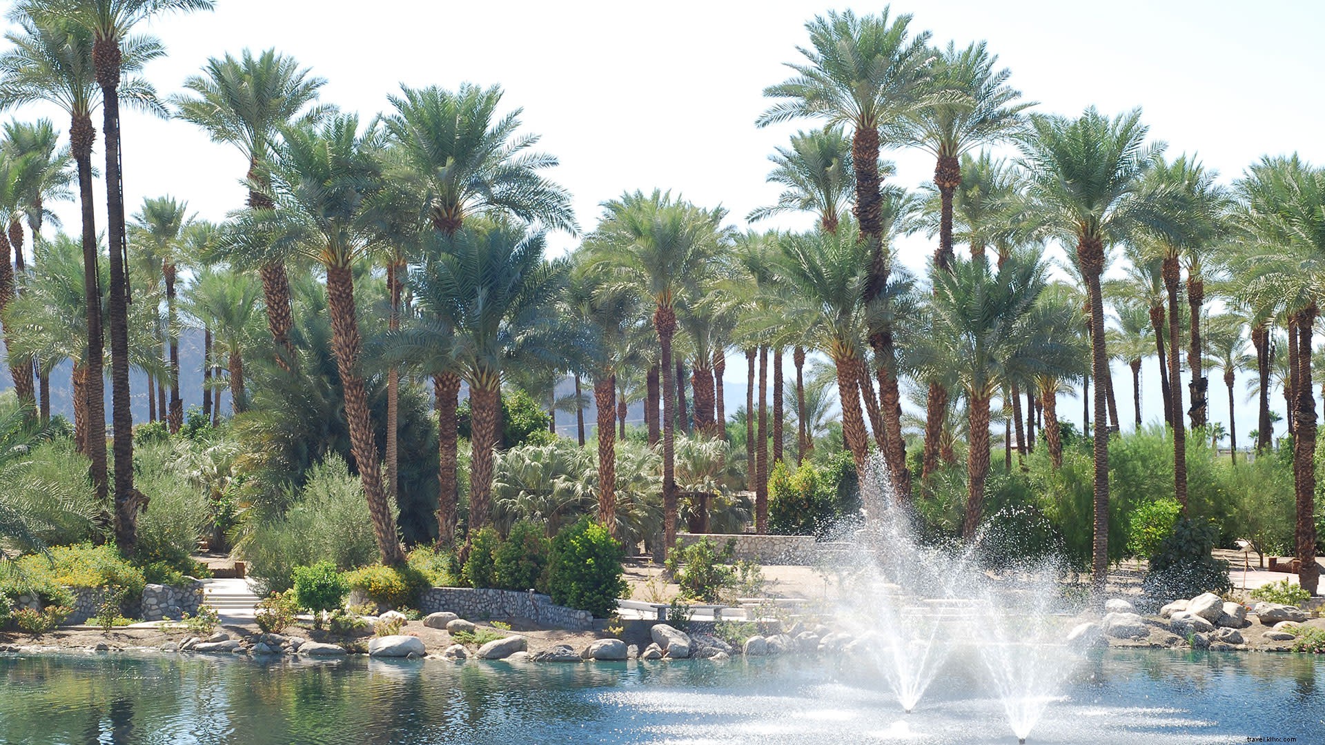 Excelentes lugares para hacer picnic y explorar en Greater Palm Springs 