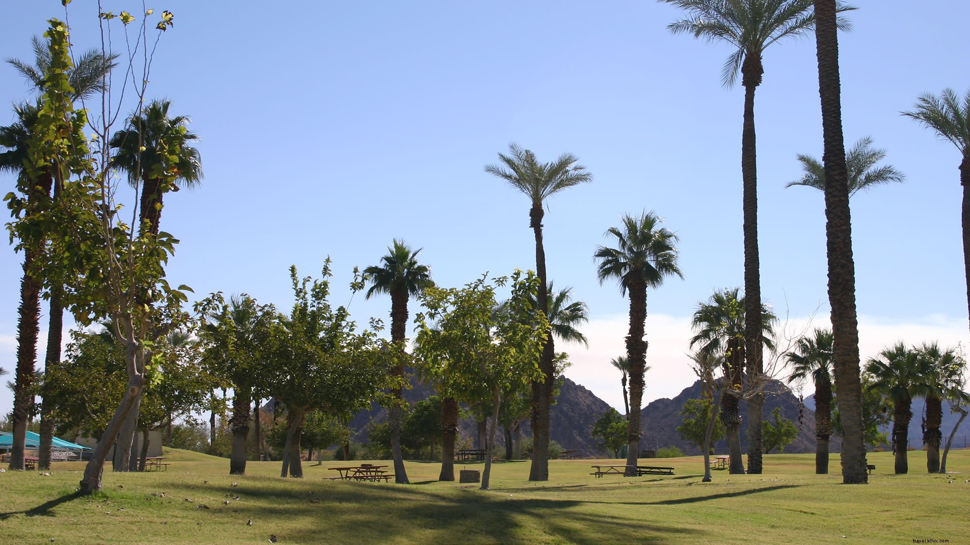 Ótimos lugares para fazer um piquenique e explorar em Greater Palm Springs 