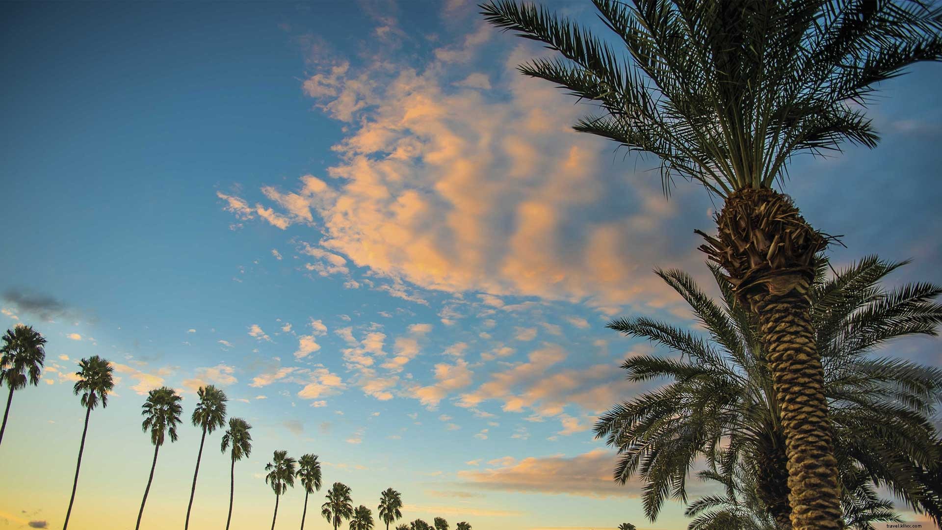 10 modi per risparmiare durante un viaggio a Greater Palm Springs 