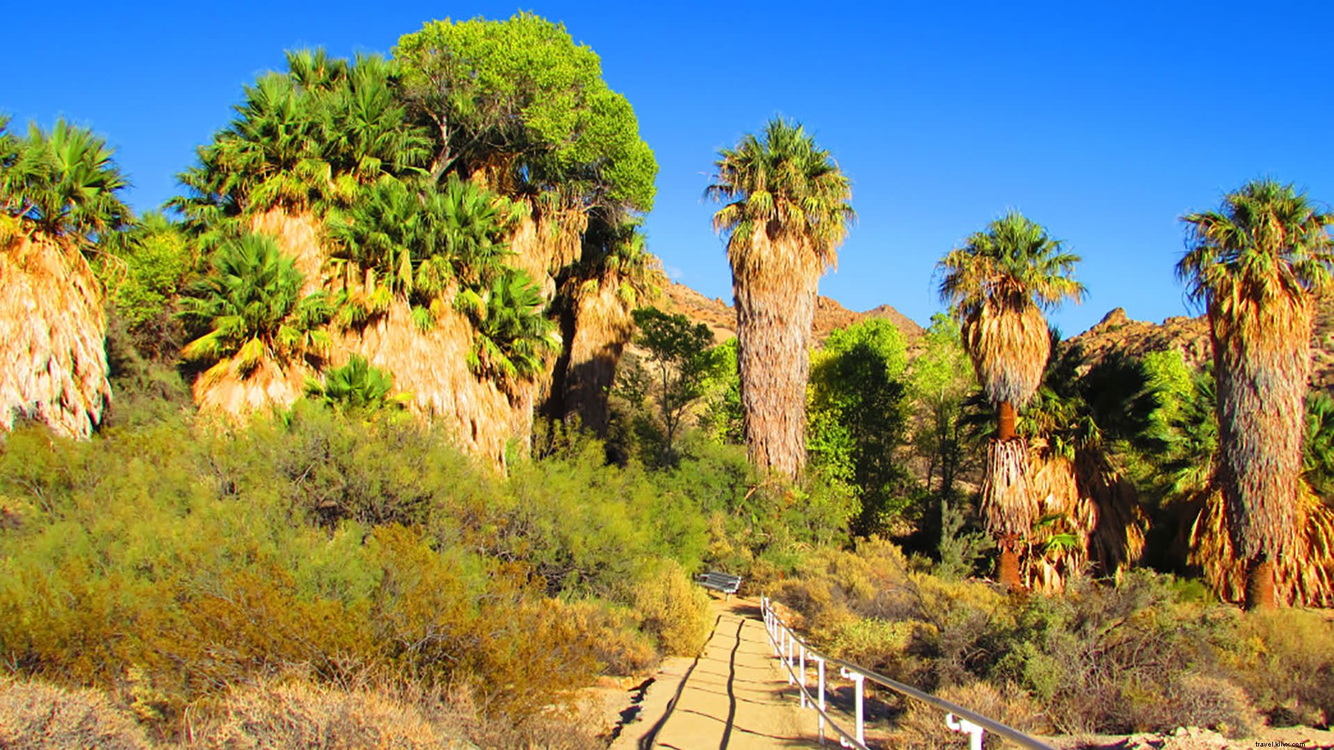 Les meilleures randonnées d oasis à Greater Palm Springs 
