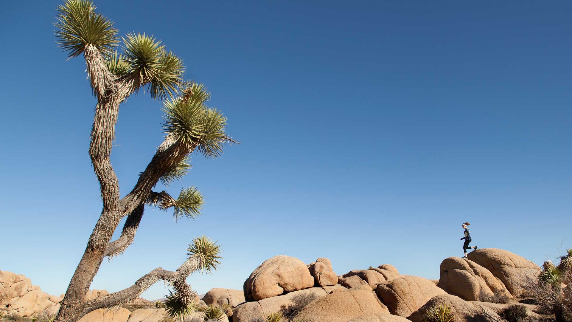 Itinerario de 3 días en la región del desierto:explore el desierto alrededor de Greater Palm Springs 