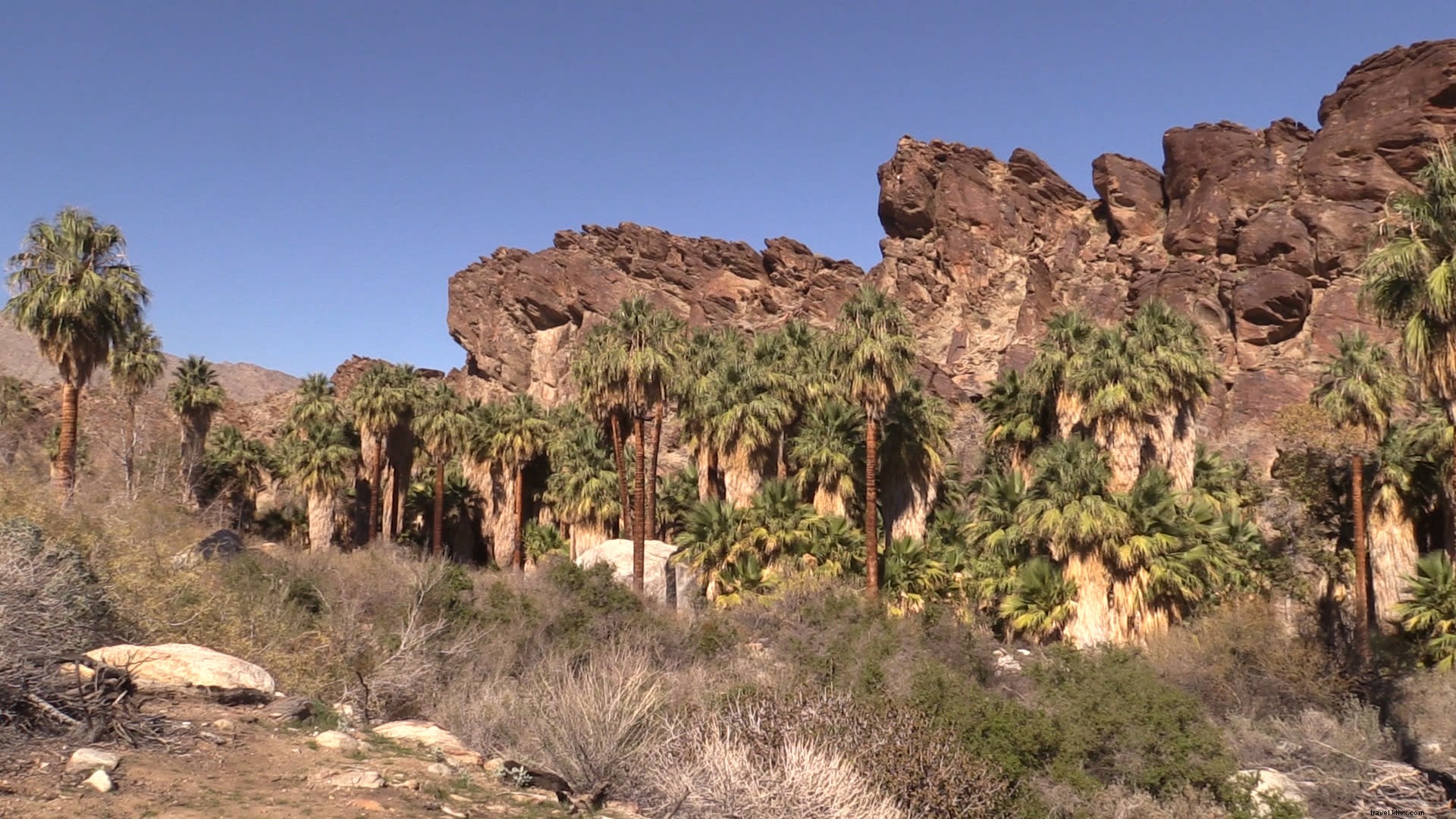 Los mejores lugares para meditar en Greater Palm Springs 