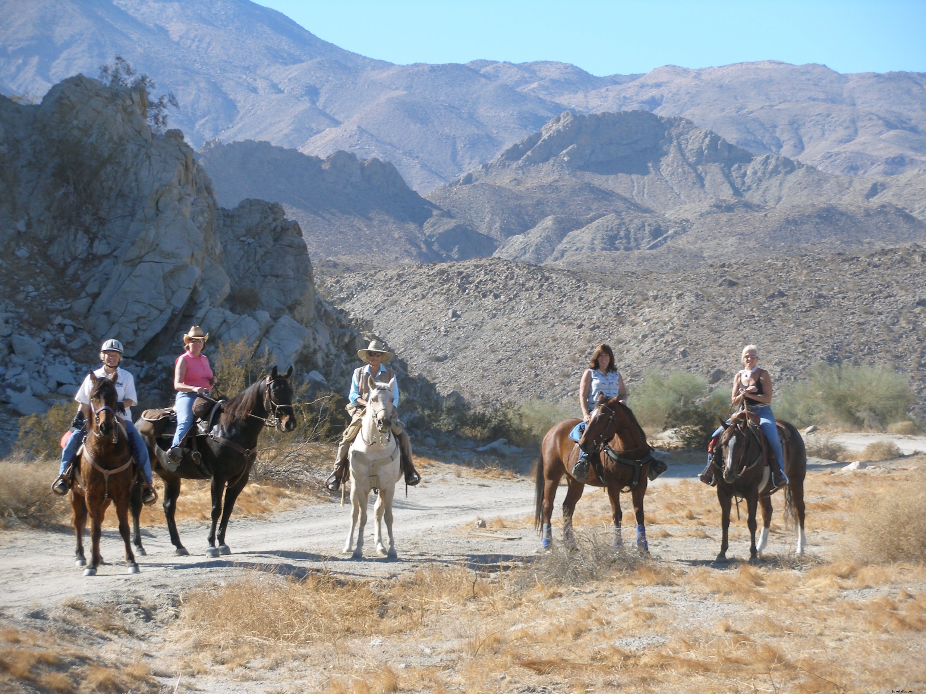 Horsing Around Greater Palm Springs 
