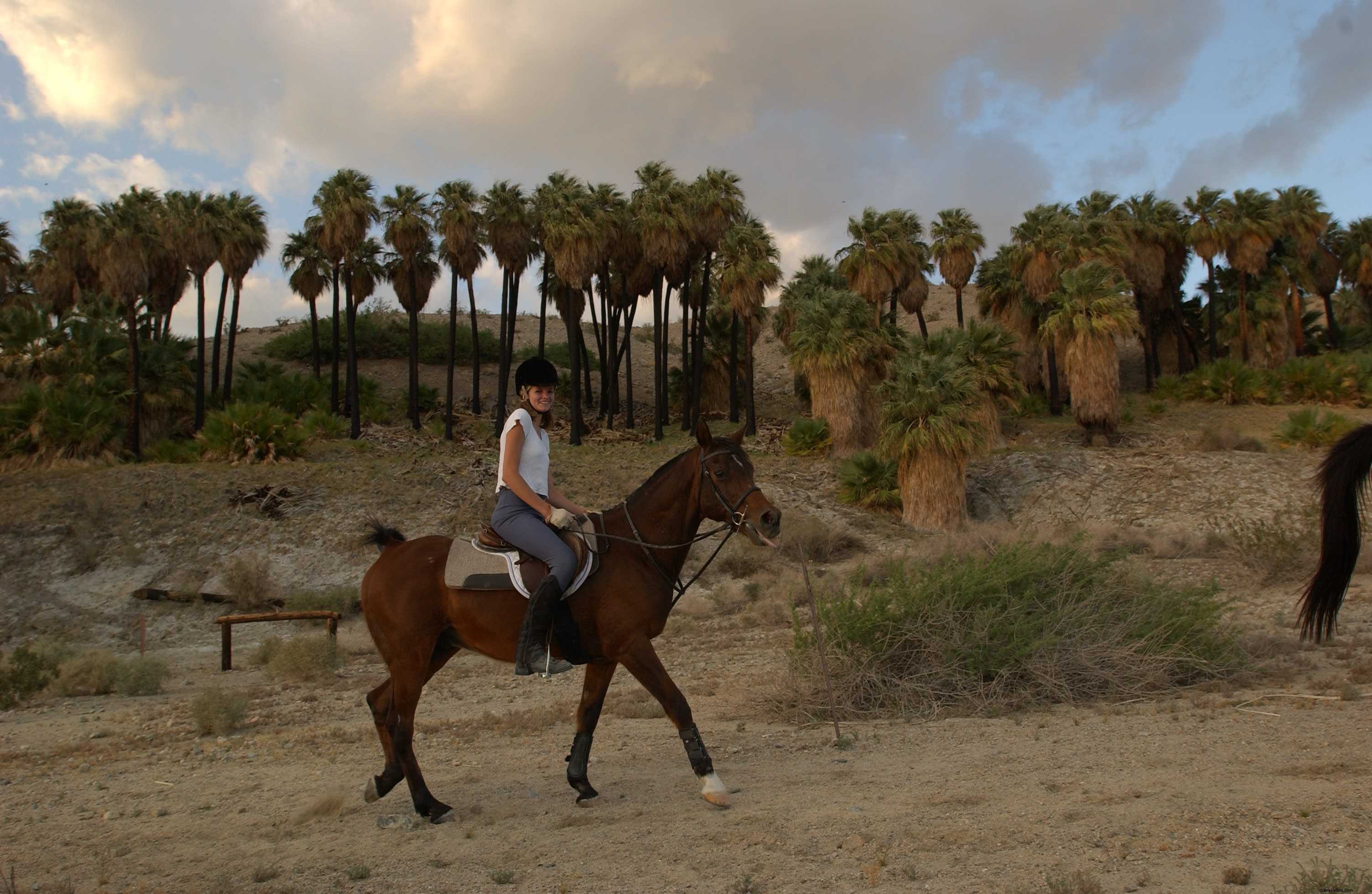 Faire du cheval dans le Grand Palm Springs 