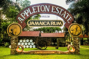 Appleton Rum Estate 