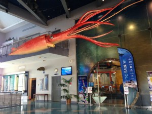 Istituto di esplorazione subacquea delle Bermuda (BUEI) 