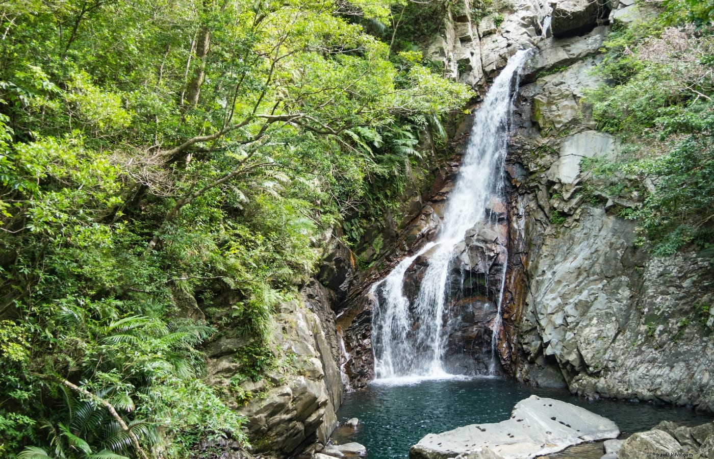 沖縄の自然に戻る：この地域の自然の素晴らしさを探る 