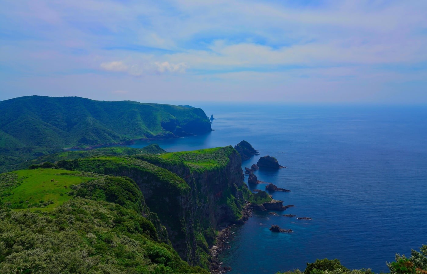 広島を越えて：三院と三洋地域の隠された宝物を探る 