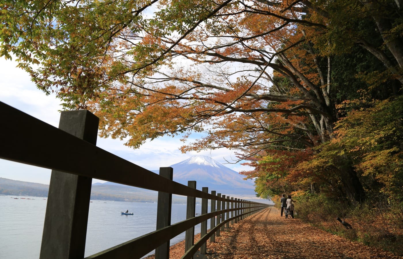 Os melhores destinos para passeios de bicicleta e de bicicleta no Japão 