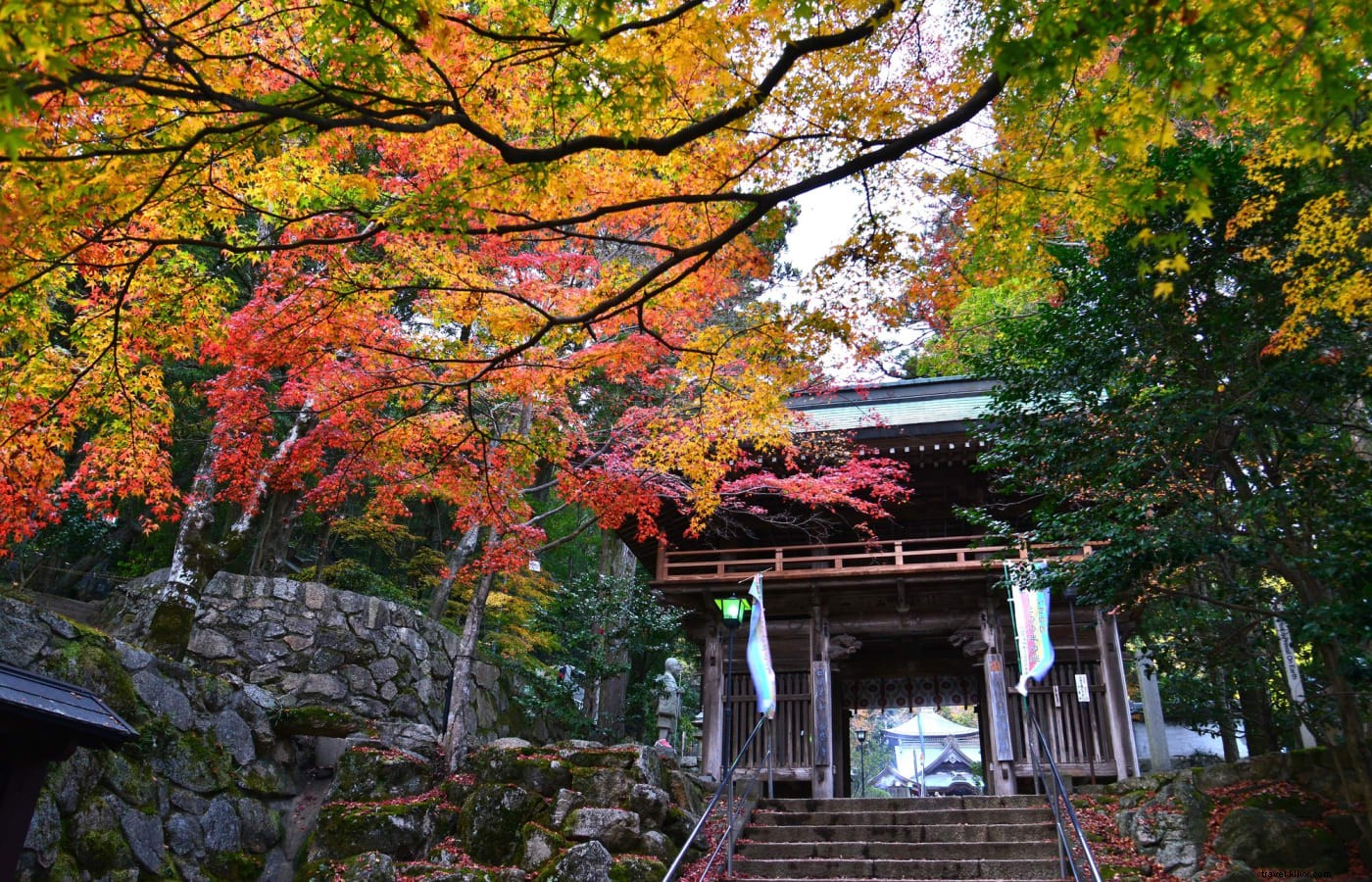 Explorer le syncrétisme et le Shugendo dans le pèlerinage de Tohoku Yamabushi et Shikoku 