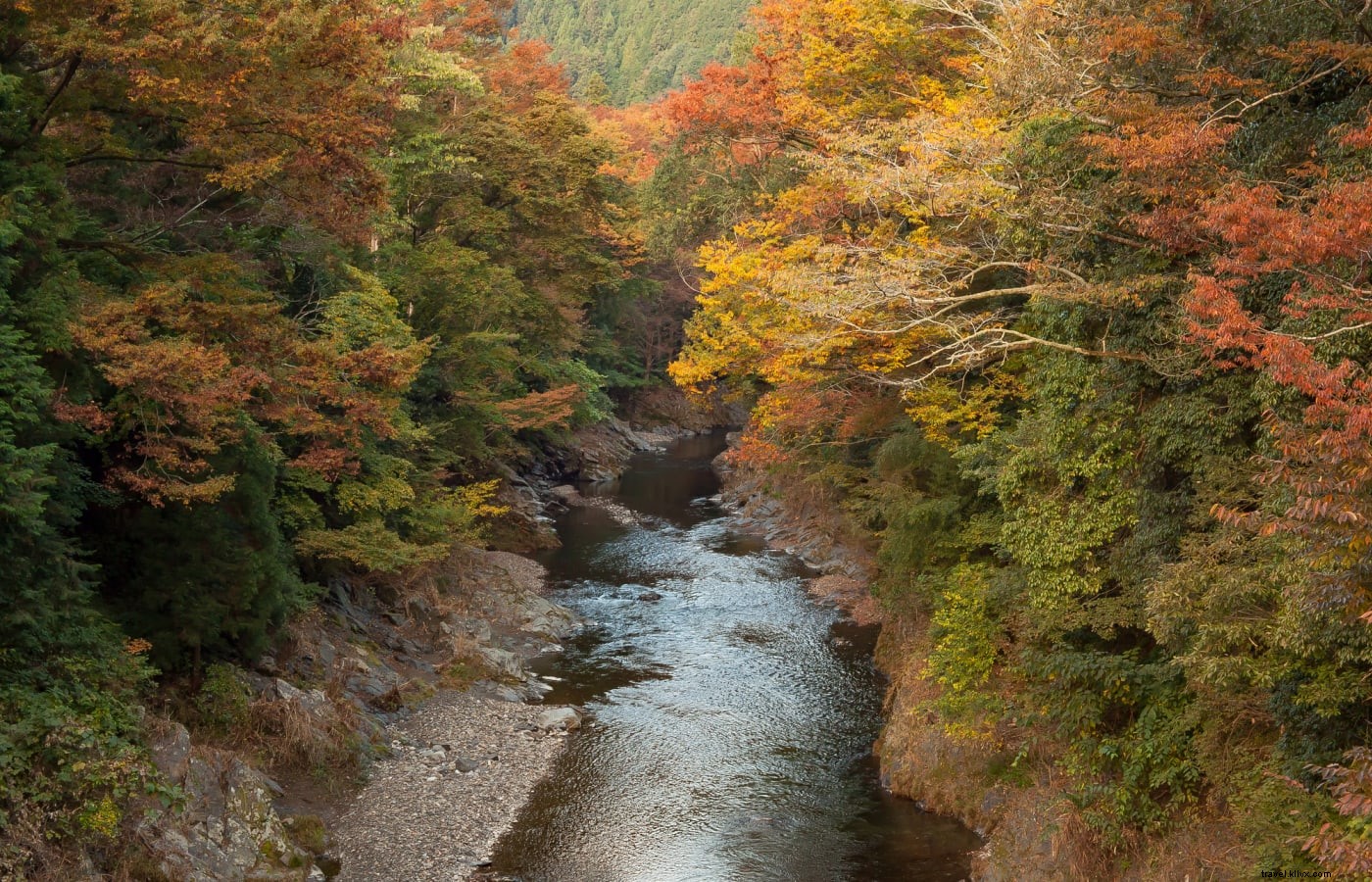 檜原村：山、 東京の唯一の村とその周辺の自然の美しさと深い伝統 